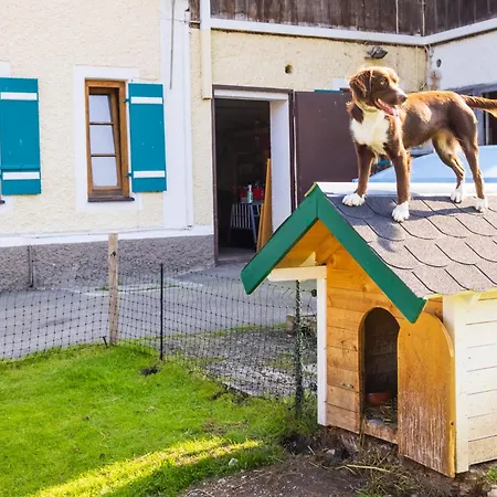 Aschenauer Hof شقة *